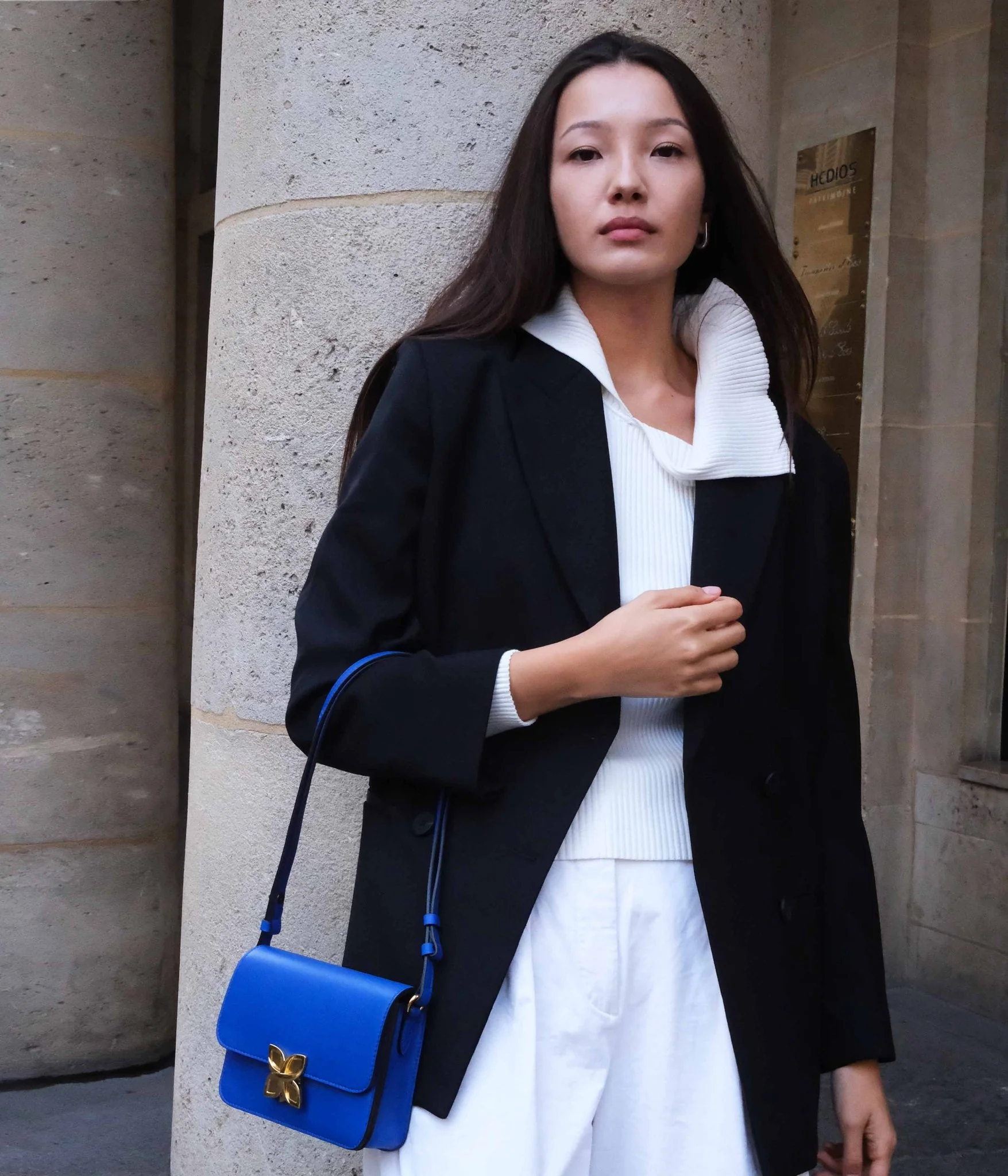 Mini Hortensia | Bleu Roi - Image 4