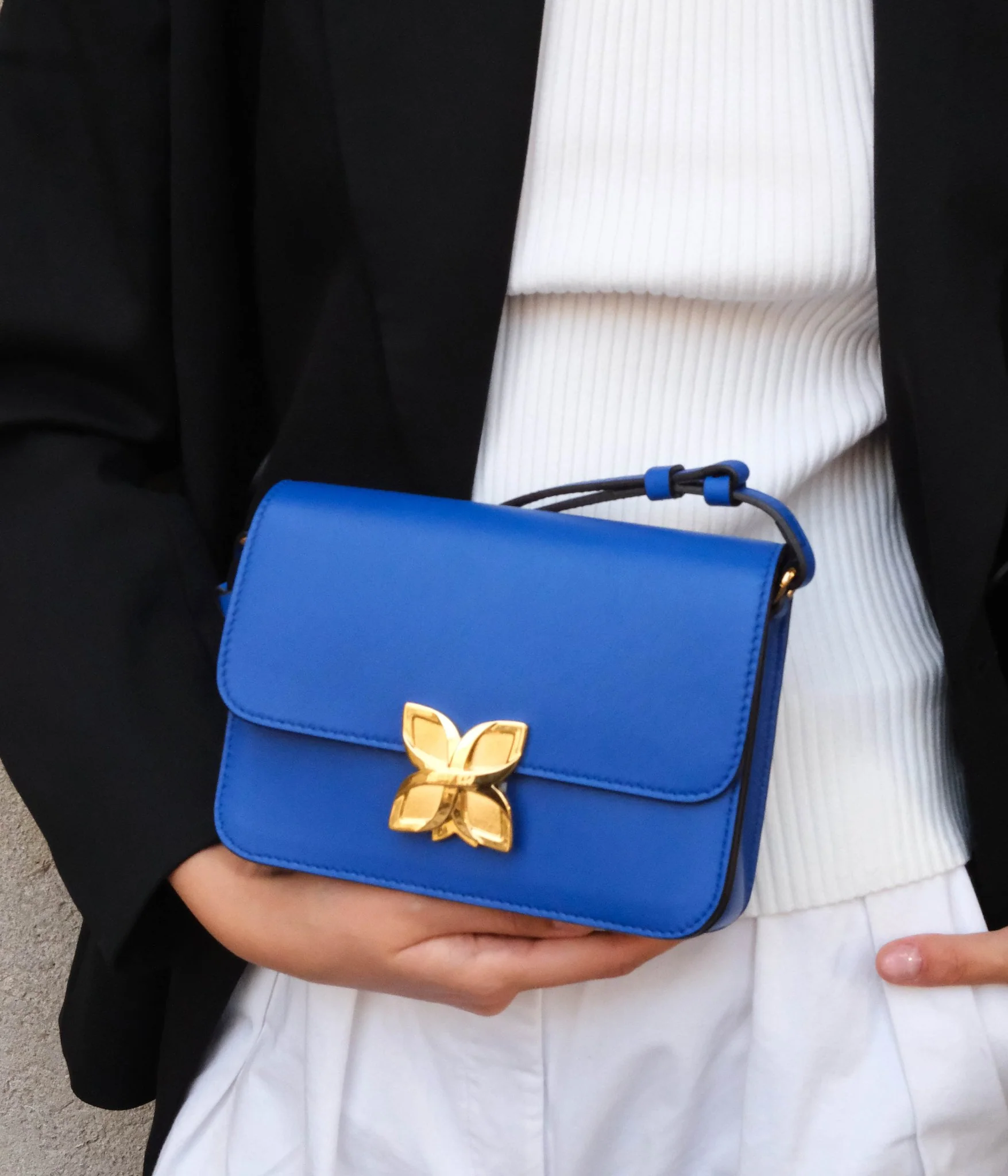 Mini Hortensia | Bleu Roi - Image 5